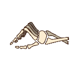 Animation - 1727769897283